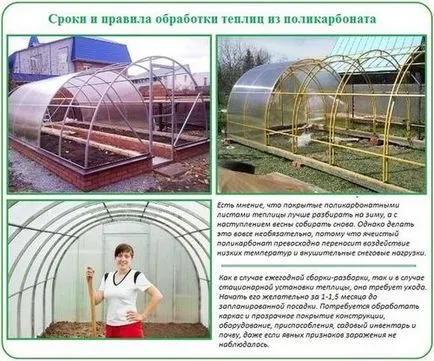 Методи за дезинфекция на земята в оранжерията от Phytophthora калиев перманганат и меден сулфат