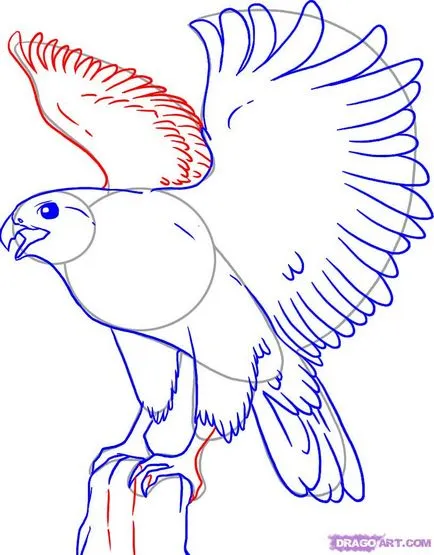 Cum de a desena un vultur în etape