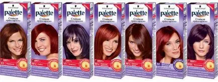 Как да се боядисват косата коса цвят палет къща