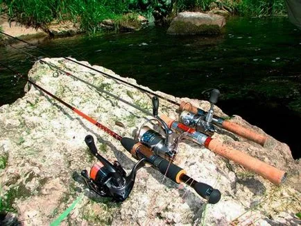 Как да избера най-подходящия върти риболов