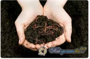 Как да си направим vermicompost с неговата снимка ръце