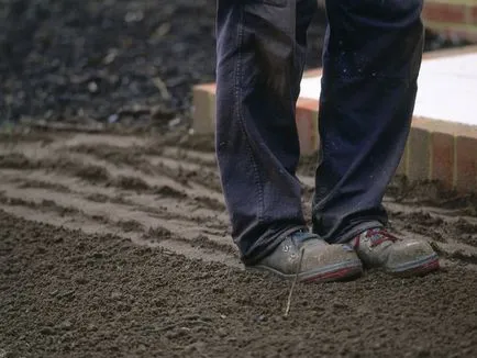 Hogyan, hogy a gyep a saját kezével fotók és videók