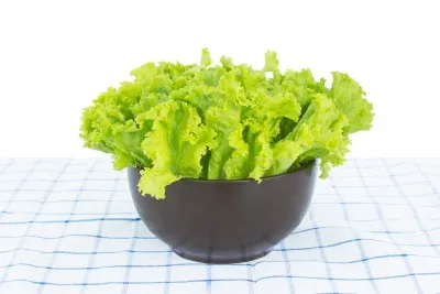 Salata verde Lollo Biondo