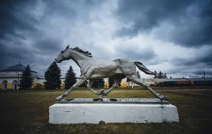 Cele mai multe monumente originale ale animalelor din regiunea Voronej