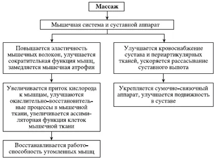 Премахване на нервно-мускулната възбудимост