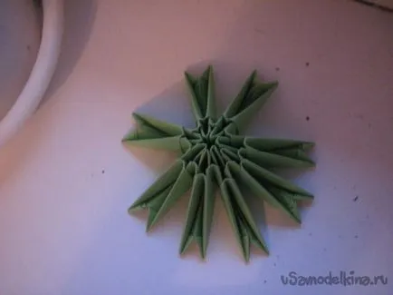 Cactus a szakterületen moduláris origami