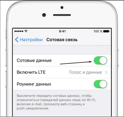 Cum de a activa sau dezactiva Internet pe iPhone - 3G și setarea 4g pentru 4, 4s, 5, 5s, 6, 6S,