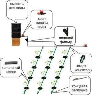 Капково напояване, зеленчуци на парцела