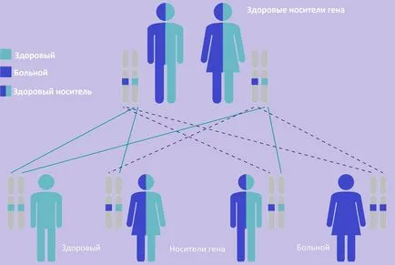 Кисти в бъбреците на ултразвук (Лекция по diagnostere)