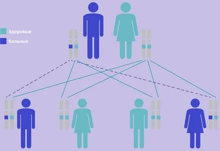 Кисти в бъбреците на ултразвук (Лекция по diagnostere)