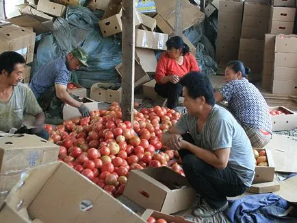 China ia Inchirieri Siberia