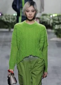 Abból, amit viselni egy zöld pulóvert
