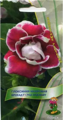 Семена саксийни растения и цветя Mail Online Store
