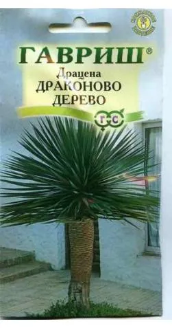 Seminte Ghivecele cu plante și flori Mail Online Store