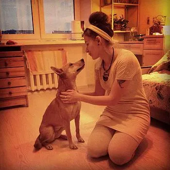 Povești de succes de câini de la un adăpost Biryulyovo