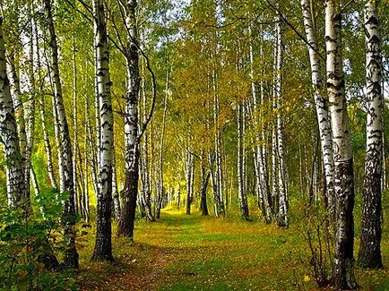 Санаторно-курортно лечение в Московска област, цените през 2017 г.