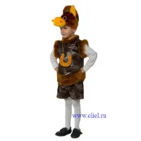 Costume de cal și calul