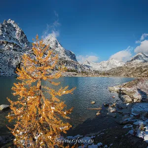 Frumoasa fotografie natura, expoziție de fotografie