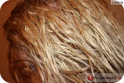 produse cosmetice de culoare crem păr stridie perlacolor - «super cool profesional de colorare a părului