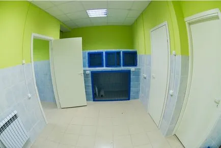 Час ветеринарна клиника в София, ветеринарна клиника за домашни любимци в Санкт Петербург 1