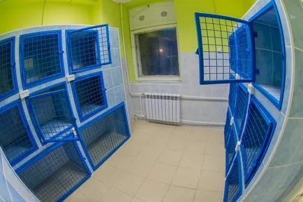 Час ветеринарна клиника в София, ветеринарна клиника за домашни любимци в Санкт Петербург 1