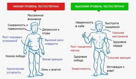 Лампа BIOPTRON лечение простатит, използвайки светлинна терапия