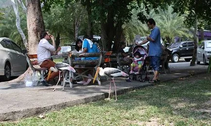 Khao kheo Zoo Pattaya - grădină zoologică