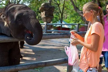 Khao kheo Zoo Pattaya - grădină zoologică