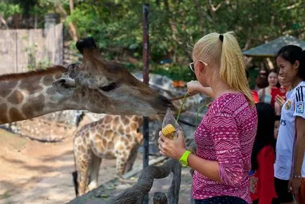 Khao kheo Zoo Pattaya - grădină zoologică