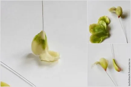 Cymbidium orchideák formázó polimer agyag