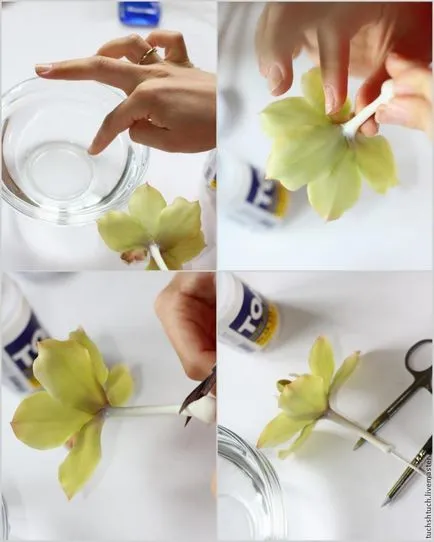 Cymbidium orchideák formázó polimer agyag