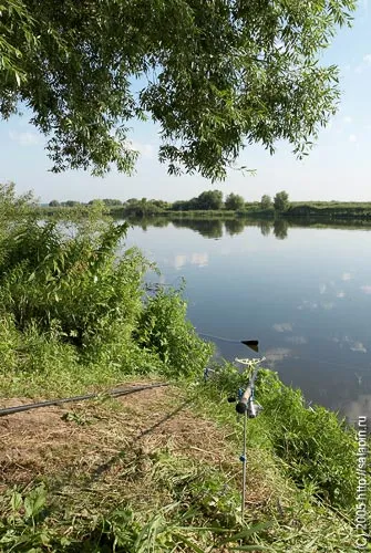 Feeder horgászat egy ismeretlen folyó