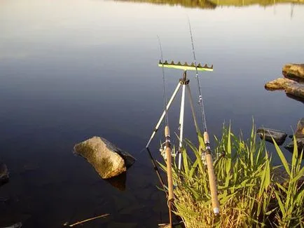 Catching ponty, hogyan kell kiválasztani a megfelelő berendezések „szabadság mélység