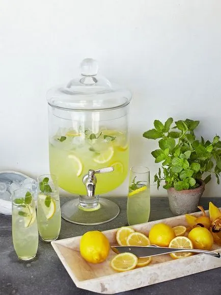 Cele mai bune rețete de limonadă la domiciliu - 90 fotografie masa de decor