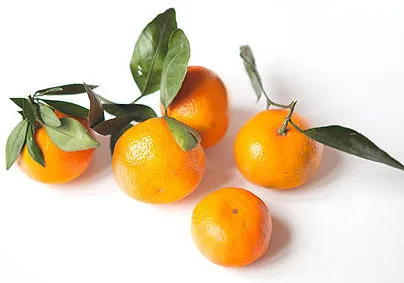 beneficii Tangerine coaja, rău, tinctura, infuzie vodca si alcool - site despre tratamente