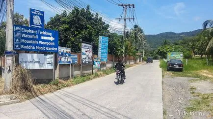 Magic gradina samui (grădină magică) - Buddha în pădurile tropicale