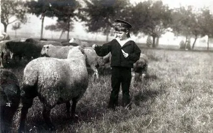 Kedvencei a császári család