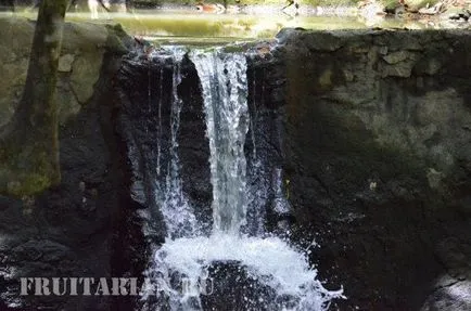 Вълшебната градина на Буда (Самуи)