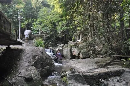 gradina Magic sau o grădină magică Buddha