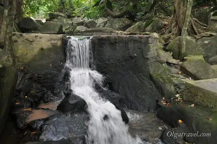 gradina Magic sau o grădină magică Buddha