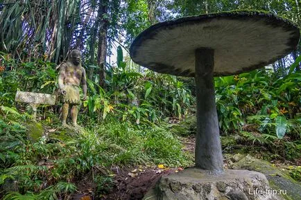 Magic gradina samui (grădină magică) - Buddha în pădurile tropicale