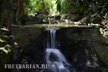 Вълшебната градина на Буда (Самуи)