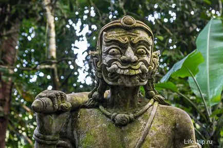 Magic gradina samui (grădină magică) - Buddha în pădurile tropicale