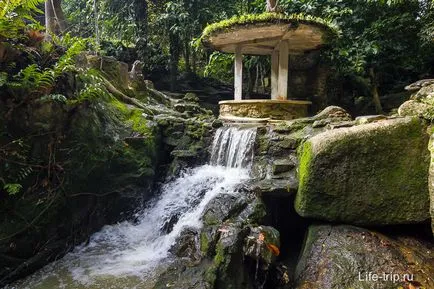 Magic gradina samui (grădină magică) - Buddha în pădurile tropicale