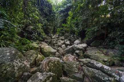 Magic gradina samui (grădină magică) - Buddha în pădurile tropicale