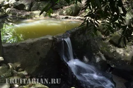 Вълшебната градина на Буда (Самуи)