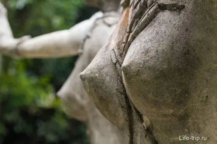 Magic gradina samui (grădină magică) - Buddha în pădurile tropicale