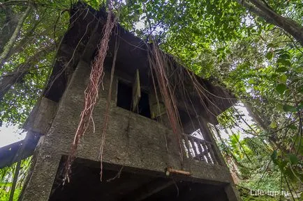 Magic gradina samui (grădină magică) - Buddha în pădurile tropicale