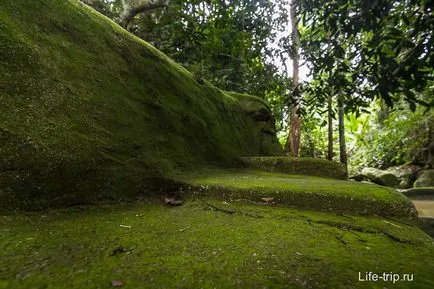 Magic gradina samui (grădină magică) - Buddha în pădurile tropicale