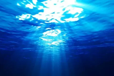 Maximum tartsa vissza a lélegzetét a víz alatt - érdekes tények
